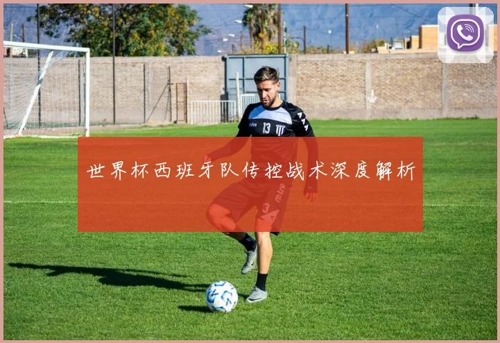 世界杯西班牙队传控战术深度解析
