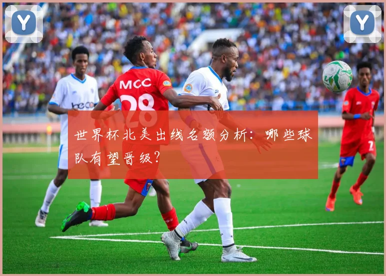 世界杯北美出线名额分析：哪些球队有望晋级？