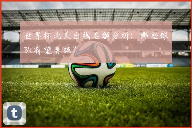 世界杯北美出线名额分析：哪些球队有望晋级？